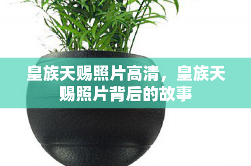 皇族天赐照片高清,皇族天赐照片背后的故事 皇族天赐照片高清,皇族天赐照片背后的故事