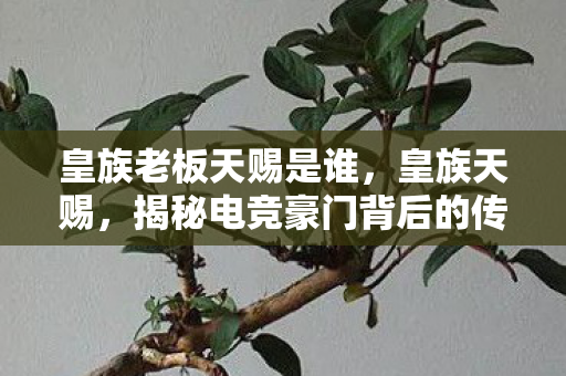 皇族老板天赐是谁,皇族天赐,揭秘电竞豪门背后的传奇老板 皇族老板天赐是谁,皇族天赐,揭秘电竞豪门背后的传奇老板