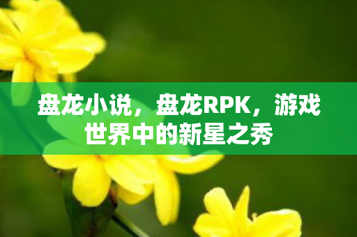 盘龙小说,盘龙RPK,游戏世界中的新星之秀 盘龙小说,盘龙RPK,游戏世界中的新星之秀