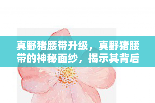 真野猪腰带升级,真野猪腰带的神秘面纱,揭示其背后的故事与真相 真野猪腰带升级,真野猪腰带的神秘面纱,揭示其背后的故事与真相