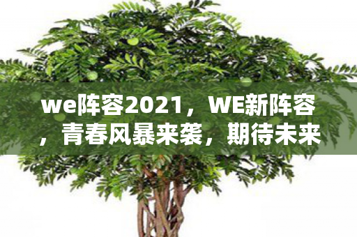 we阵容2021,WE新阵容,青春风暴来袭,期待未来的荣光 we阵容2021,WE新阵容,青春风暴来袭,期待未来的荣光