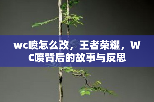 wc喷怎么改,王者荣耀,WC喷背后的故事与反思 wc喷怎么改,王者荣耀,WC喷背后的故事与反思