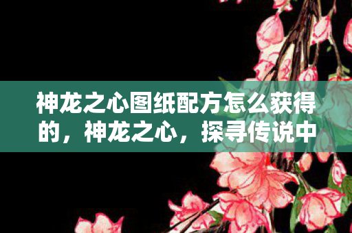 神龙之心图纸配方怎么获得的，神龙之心，探寻传说中的神秘力量