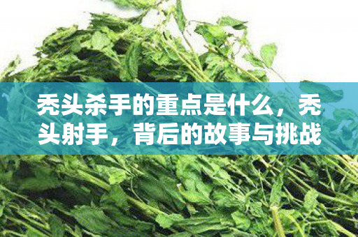 秃头杀手的重点是什么,秃头射手,背后的故事与挑战 秃头杀手的重点是什么,秃头射手,背后的故事与挑战