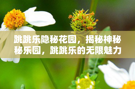 跳跳乐隐秘花园，揭秘神秘秘乐园，跳跳乐的无限魅力与乐趣