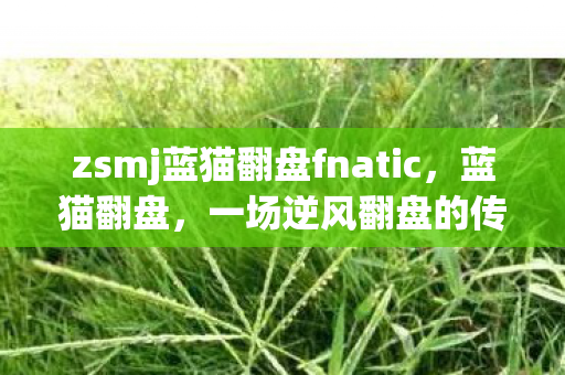 zsmj蓝猫翻盘fnatic，蓝猫翻盘，一场逆风翻盘的传奇之战