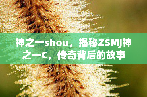 神之一shou，揭秘ZSMJ神之一C，传奇背后的故事