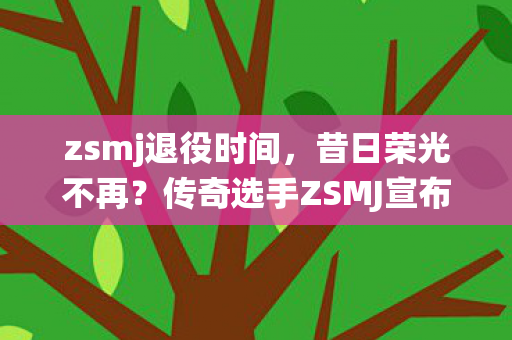 zsmj退役时间，昔日荣光不再？传奇选手ZSMJ宣布退役，他的电竞生涯究竟何去何从？