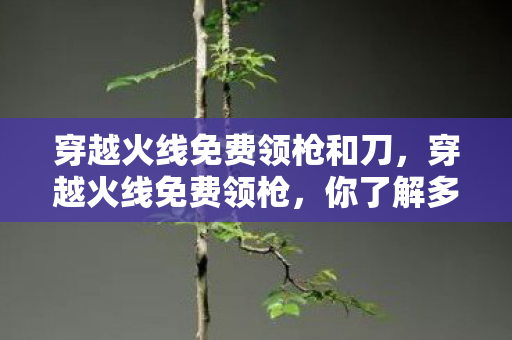 穿越火线免费领枪和刀，穿越火线免费领枪，你了解多少？