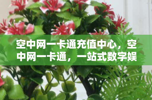 空中网一卡通充值中心，空中网一卡通，一站式数字娱乐体验的新时代先锋