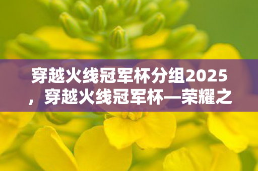 穿越火线冠军杯分组2025,穿越火线冠军杯—荣耀之战的激情与热血 穿越火线冠军杯分组2025,穿越火线冠军杯—荣耀之战的激情与热血