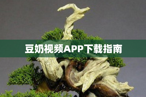 豆奶视频APP下载指南 豆奶视频APP下载指南