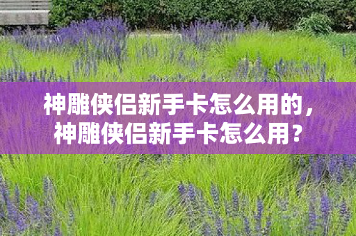 神雕侠侣新手卡怎么用的,神雕侠侣新手卡怎么用? 神雕侠侣新手卡怎么用的,神雕侠侣新手卡怎么用?