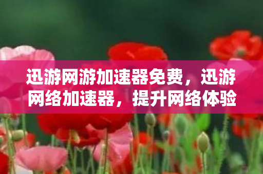迅游网游加速器免费，迅游网络加速器，提升网络体验，畅享游戏乐趣