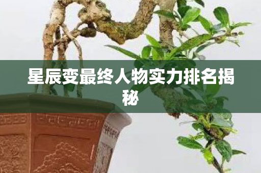 星辰变最终人物实力排名揭秘 星辰变最终人物实力排名揭秘