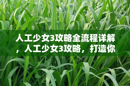 人工少女3攻略全流程详解，人工少女3攻略，打造你的专属机器人女友