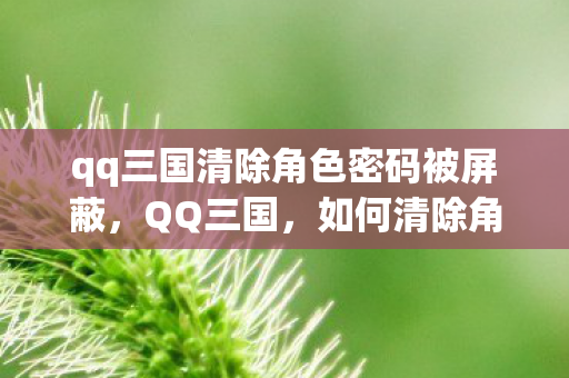 qq三国清除角色密码被屏蔽，QQ三国，如何清除角色密码