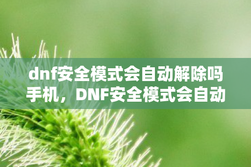 dnf安全模式会自动解除吗手机,DNF安全模式会自动解除吗?详解与分析 dnf安全模式会自动解除吗手机,DNF安全模式会自动解除吗?详解与分析