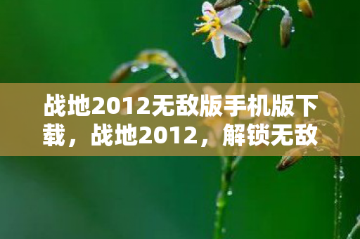 战地2012无敌版手机版下载,战地2012,解锁无敌版,重温经典战场的荣耀 战地2012无敌版手机版下载,战地2012,解锁无敌版,重温经典战场的荣耀