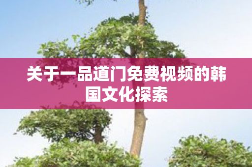 关于一品道门免费视频的韩国文化探索 关于一品道门免费视频的韩国文化探索