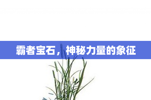 霸者宝石,神秘力量的象征 霸者宝石,神秘力量的象征