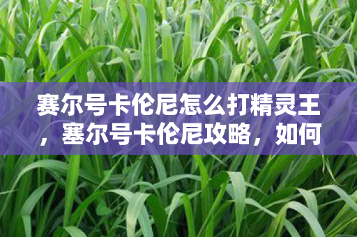 赛尔号卡伦尼怎么打精灵王,塞尔号卡伦尼攻略,如何战胜这个强大的对手? 赛尔号卡伦尼怎么打精灵王,塞尔号卡伦尼攻略,如何战胜这个强大的对手?