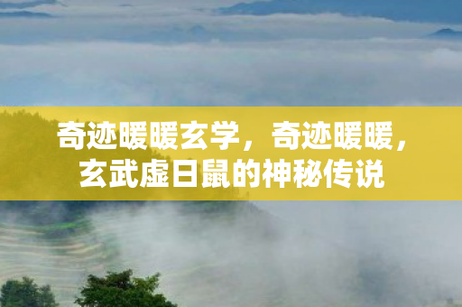 奇迹暖暖玄学,奇迹暖暖,玄武虚日鼠的神秘传说 奇迹暖暖玄学,奇迹暖暖,玄武虚日鼠的神秘传说