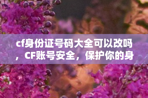 cf身份证号码大全可以改吗，CF账号安全，保护你的身份证号码
