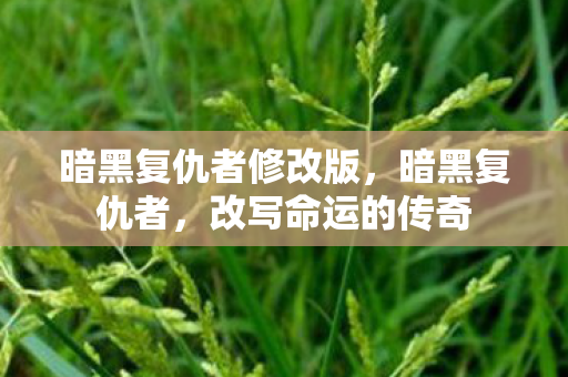 暗黑复仇者修改版,暗黑复仇者,改写命运的传奇 暗黑复仇者修改版,暗黑复仇者,改写命运的传奇