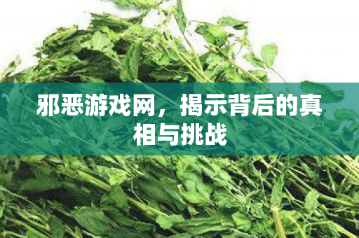 邪恶游戏网,揭示背后的真相与挑战 邪恶游戏网,揭示背后的真相与挑战