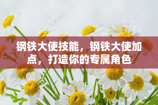 钢铁大使技能，钢铁大使加点，打造你的专属角色