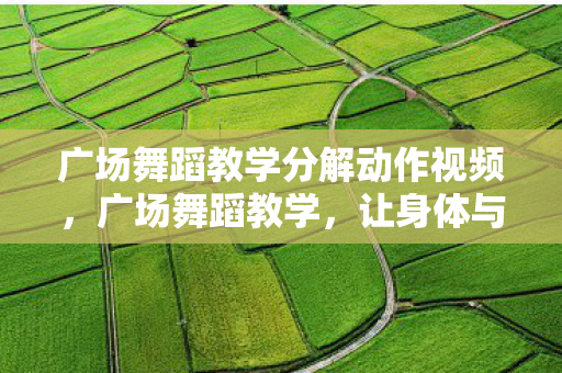 广场舞蹈教学分解动作视频，广场舞蹈教学，让身体与心灵共舞的艺术