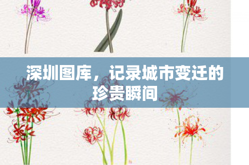深圳图库,记录城市变迁的珍贵瞬间 深圳图库,记录城市变迁的珍贵瞬间