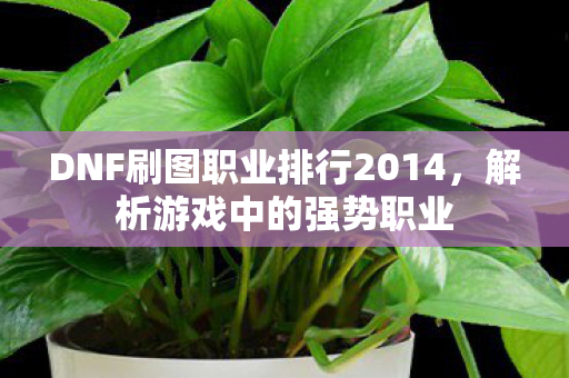 DNF刷图职业排行2014,解析游戏中的强势职业 DNF刷图职业排行2014,解析游戏中的强势职业