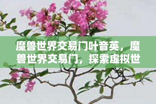 魔兽世界交易门叶音英,魔兽世界交易门,探索虚拟世界的经济奥秘 魔兽世界交易门叶音英,魔兽世界交易门,探索虚拟世界的经济奥秘