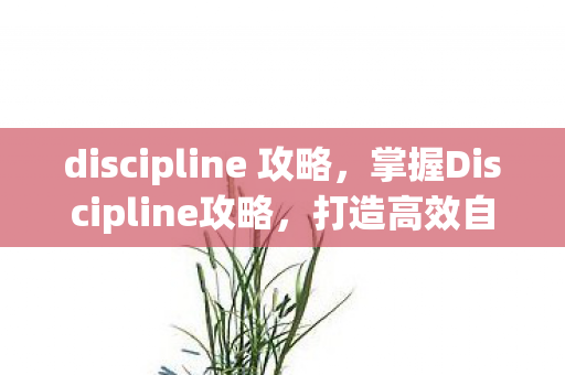 discipline 攻略,掌握Discipline攻略,打造高效自律生活的秘诀 discipline 攻略,掌握Discipline攻略,打造高效自律生活的秘诀