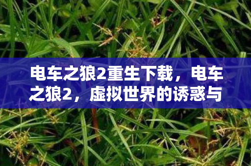 电车之狼2重生下载,电车之狼2,虚拟世界的诱惑与警示 电车之狼2重生下载,电车之狼2,虚拟世界的诱惑与警示