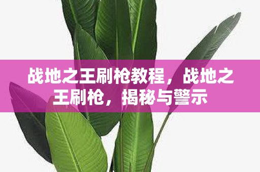 战地之王刷枪教程,战地之王刷枪,揭秘与警示 战地之王刷枪教程,战地之王刷枪,揭秘与警示