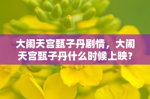 大闹天宫甄子丹剧情，大闹天宫甄子丹什么时候上映？