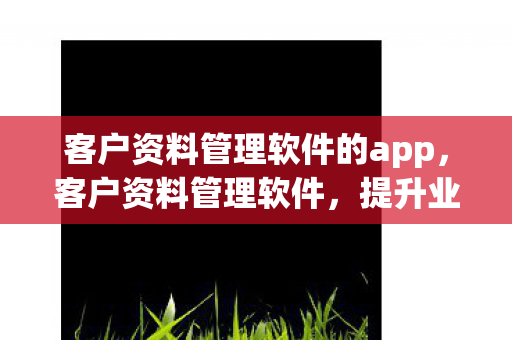 客户资料管理软件的app，客户资料管理软件，提升业务效率与增强客户关系的利器
