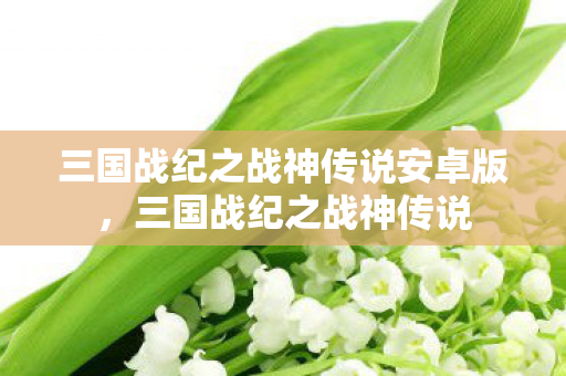 三国战纪之战神传说安卓版,三国战纪之战神传说 三国战纪之战神传说安卓版,三国战纪之战神传说