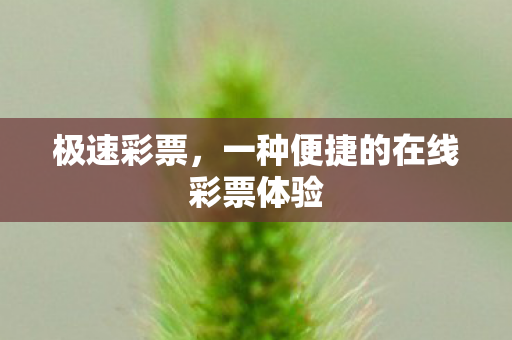极速彩票,一种便捷的在线彩票体验 极速彩票,一种便捷的在线彩票体验