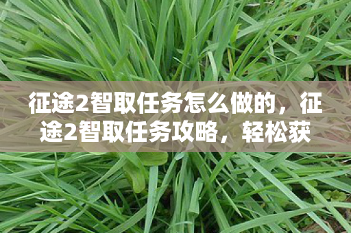 征途2智取任务怎么做的,征途2智取任务攻略,轻松获取丰厚奖励 征途2智取任务怎么做的,征途2智取任务攻略,轻松获取丰厚奖励