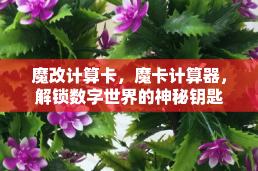 魔改计算卡,魔卡计算器,解锁数字世界的神秘钥匙 魔改计算卡,魔卡计算器,解锁数字世界的神秘钥匙