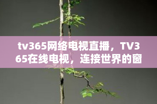 tv365网络电视直播，TV365在线电视，连接世界的窗口