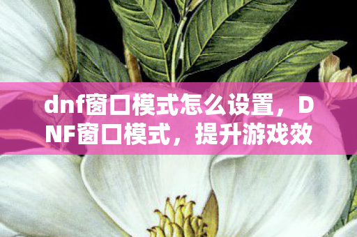 dnf窗口模式怎么设置,DNF窗口模式,提升游戏效率与舒适度的实用技巧 dnf窗口模式怎么设置,DNF窗口模式,提升游戏效率与舒适度的实用技巧