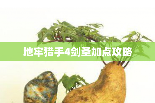 地牢猎手4剑圣加点攻略 地牢猎手4剑圣加点攻略