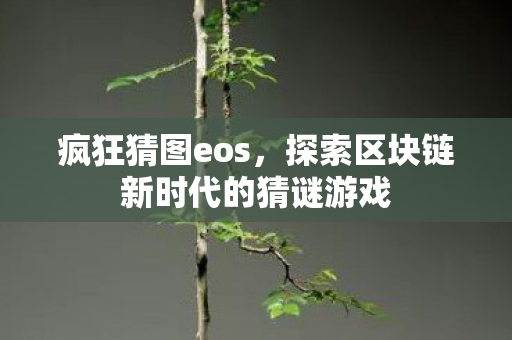 疯狂猜图eos,探索区块链新时代的猜谜游戏 疯狂猜图eos,探索区块链新时代的猜谜游戏