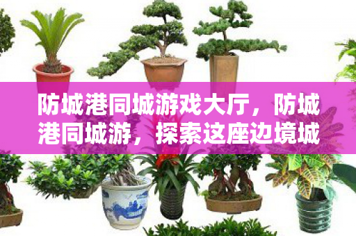 防城港同城游戏大厅,防城港同城游,探索这座边境城市的独特魅力 防城港同城游戏大厅,防城港同城游,探索这座边境城市的独特魅力