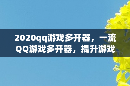 2020qq游戏多开器,一流QQ游戏多开器,提升游戏体验的必备神器 2020qq游戏多开器,一流QQ游戏多开器,提升游戏体验的必备神器